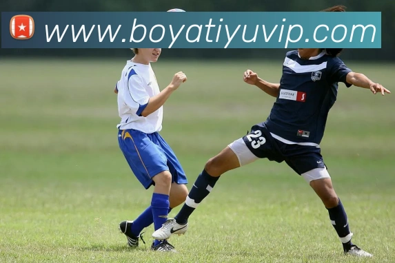 多媒体互动体验