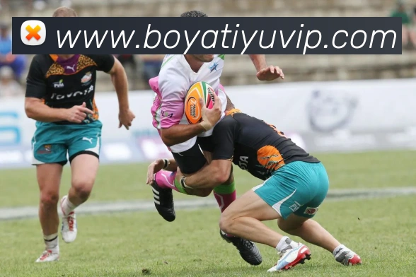 博亚体育APP 高清赛事图